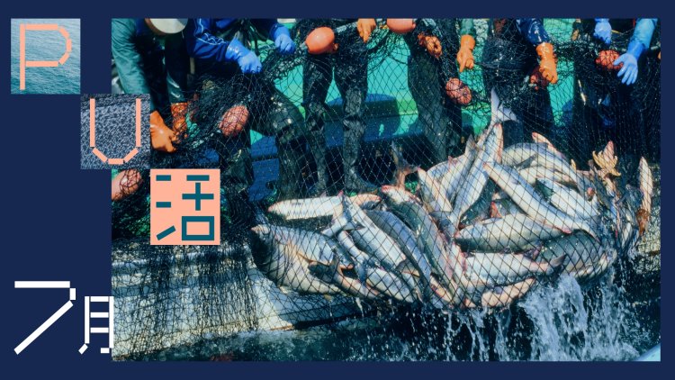 7月のPU活～海と都市の結節点～｜地域の漁業・海の魅力・ウナギ釣り