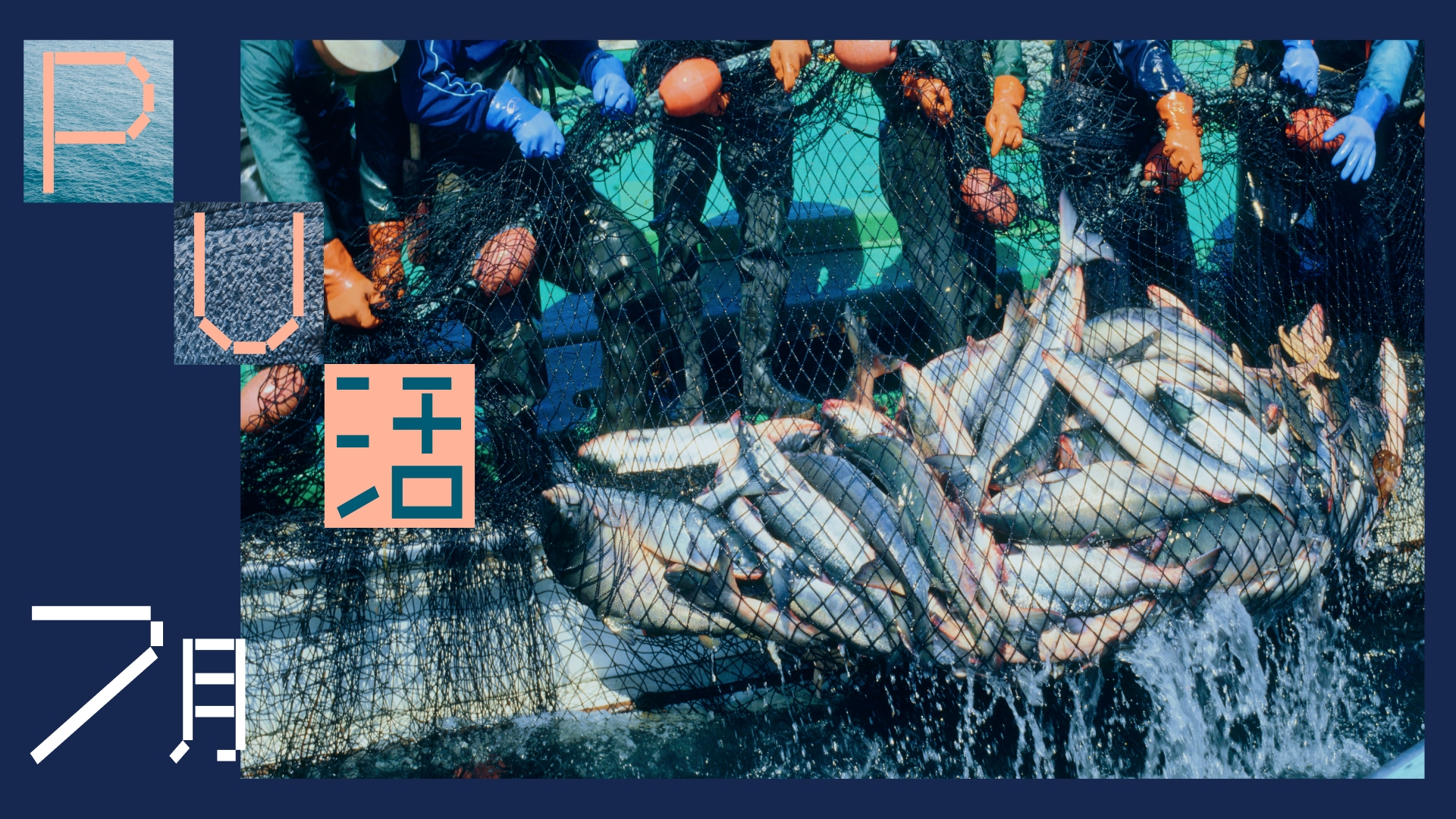 7月のPU活~海と都市の結節点~|地域の漁業・海の魅力・ウナギ釣り