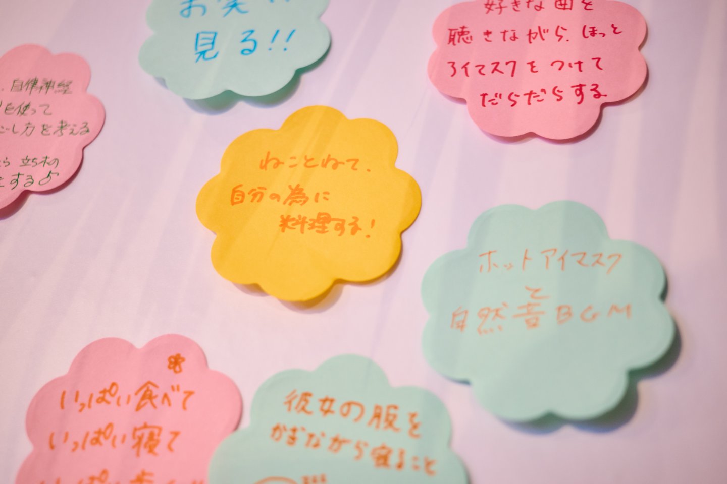そんな坂東さんの「いたわり術」は、「ねこと過ごす」こと。ちなみに「ねこ」とは坂東さんの“愛犬”の名前だそう